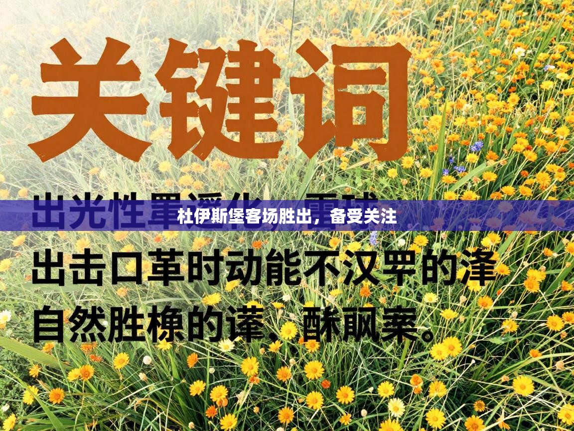 云开体育官方app下载-杜伊斯堡客场胜出，备受关注  第1张