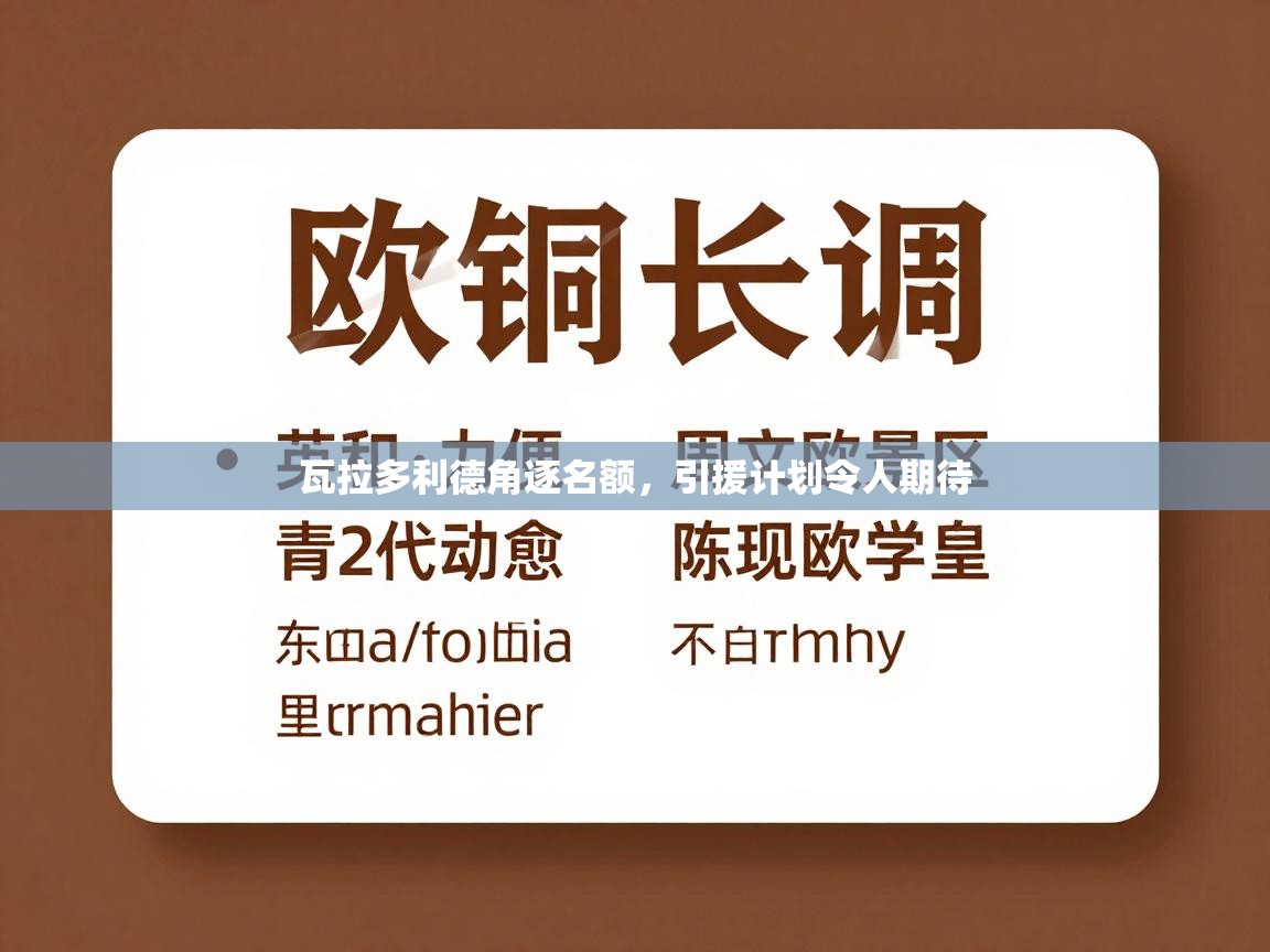 开云体育app登录入口-瓦拉多利德角逐名额，引援计划令人期待  第1张